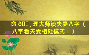 命 🌸 理大师谈夫妻八字（八字看夫妻相处模式 ☘ ）